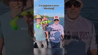 Glenn McDonald is Tiger Muskie Mustang Wrangling with Livingston Lures!