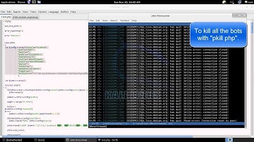 Video Demo #2 (Botnets of the Web - How to Hijack One)