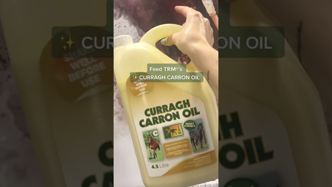 𝗪𝗮𝗻𝘁 𝘆𝗼𝘂𝗿 𝗵𝗼𝗿𝘀𝗲 𝘁𝗼 𝘀𝗵𝗶𝗻𝗲?