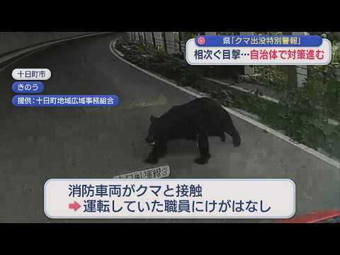 Bears have been spotted coming into contact with fire engines