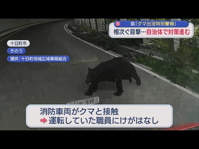 Bears have been spotted coming into contact with fire engines