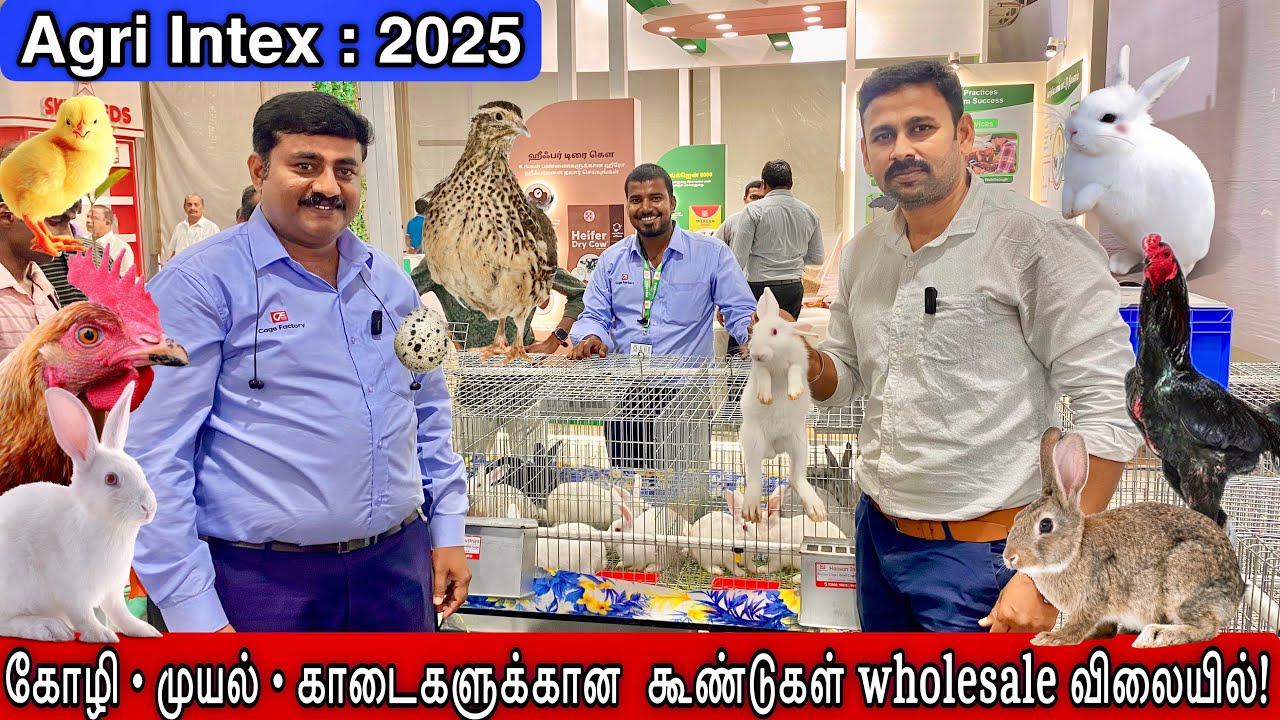 💼 Agri Intex 2025 | பண்ணை தொடங்க விருப்பமா? கூண்டுகள் இங்கே!