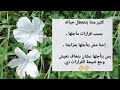 فن اتخاذ القرار نصائح تساعدك اتخاذ القرار بعقلانية بدون أن تندم على قرارك الدكتور ياسر الحزيمي فن اتخاذ القرار نصائح تساعدك اتخاذ القرار بعقلانية بدون أن تندم على قرارك الدكتور ياسر الحزيمي