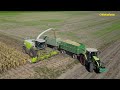 Claas jaguar 950 maisernte 2023