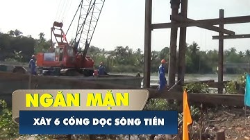 Đầu tư hơn 846 tỉ đồng xây 6 cống ngăn mặn, trự ngọt dọc sông Tiền