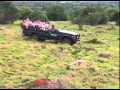 Kariega wildlife and activities