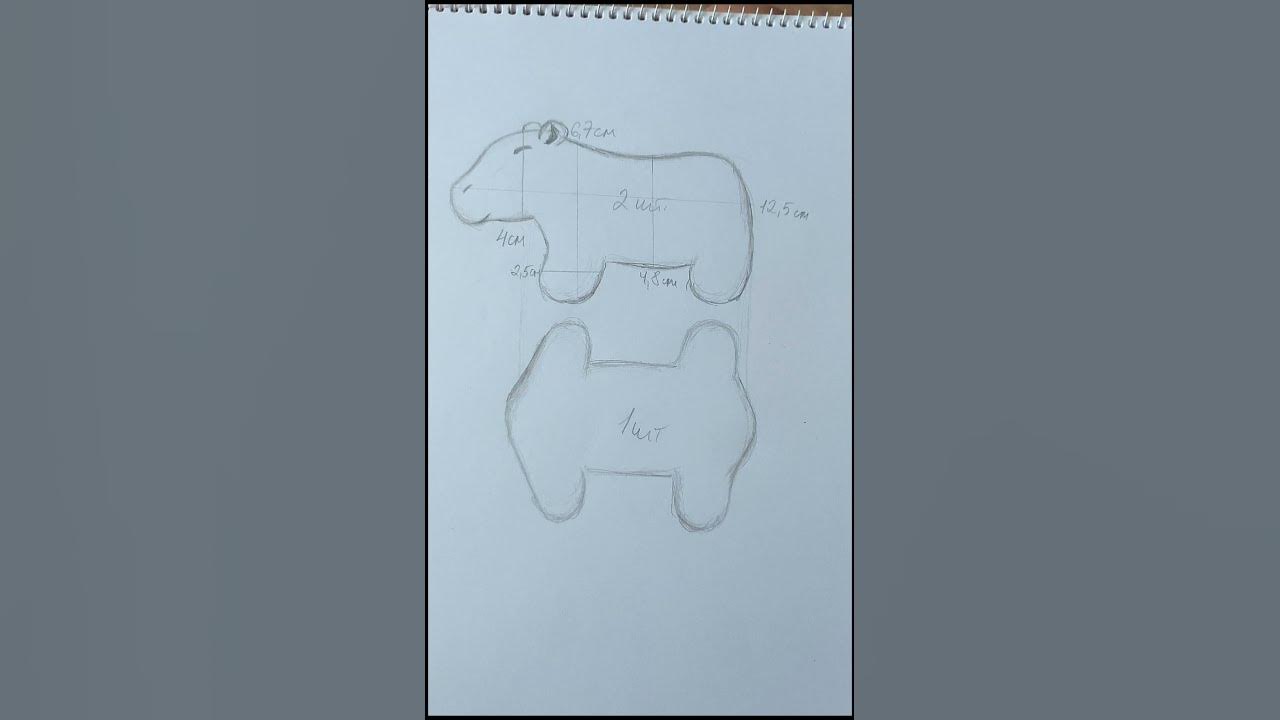 Capybara Anatomy Outine Printout Worksheet Capybara, Anatomy, Animals