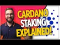 Cardano Staking Explained by Cardano Stake Pool Operators!