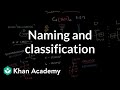 Carbohydrates - naming and classification | Chemical processes | MCAT | Khan Academy