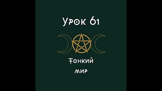 Урок 61. Тонкий мир| школа викка