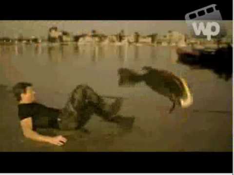 How to Kill a Mega Piranha