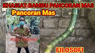 Khasiat Bambu Pancoran Mas