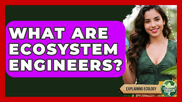 What Are Ecosystem Engineers? - Explaining Ecology