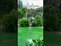 tempat aesthetic di ragunan #zoo #ragunan #dailyshorts #healing #aesthetic #jakarta