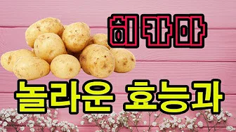 히카마