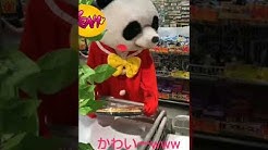 ささたろう Youtube