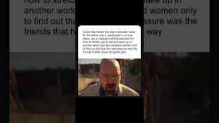 When An Anime Fan...