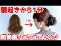 【超簡単】寝起きから1分でできる！大人シュシュアレンジ♪　表参道美容師 SALONTube 渡邊義明