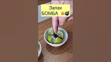ЧТОБЫ ДОМА ХОРОШО ПАХЛО. Ароматы своими руками. Это очень красиво смотрится.