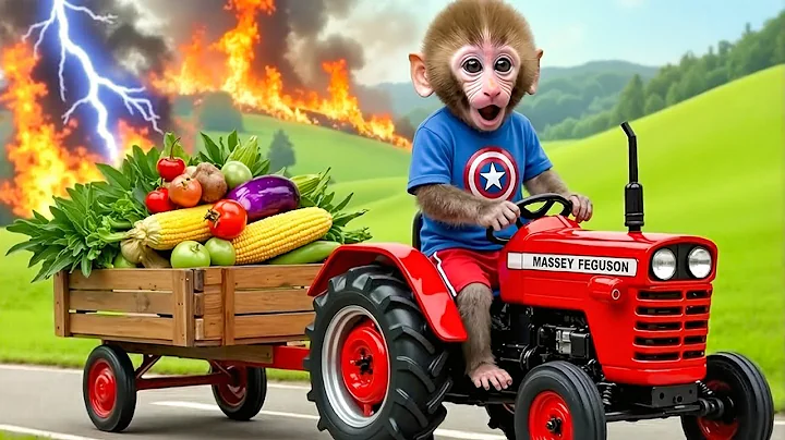 Monkey Farmer Fixes Tractor and Plows Beet Field - Farm Work | Funny Farm🐒