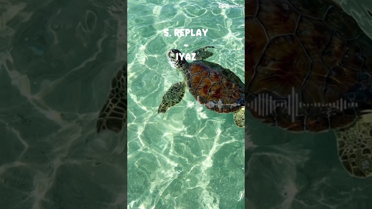 Songs you should add to your playlist! 