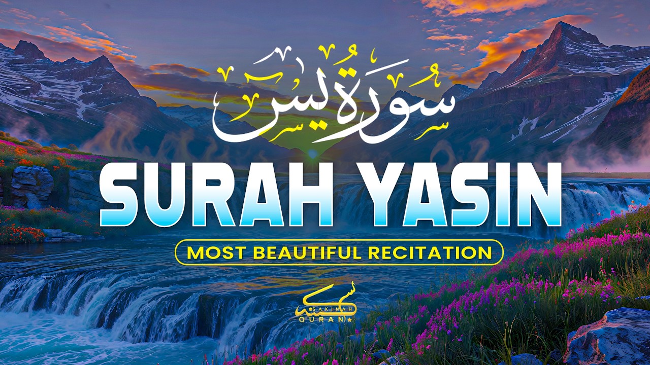 Surah Yaseen سورة يس | Soothing & Calming Lofi Quran to Soothe the Soul & Ease the Heart by Alaa Aql