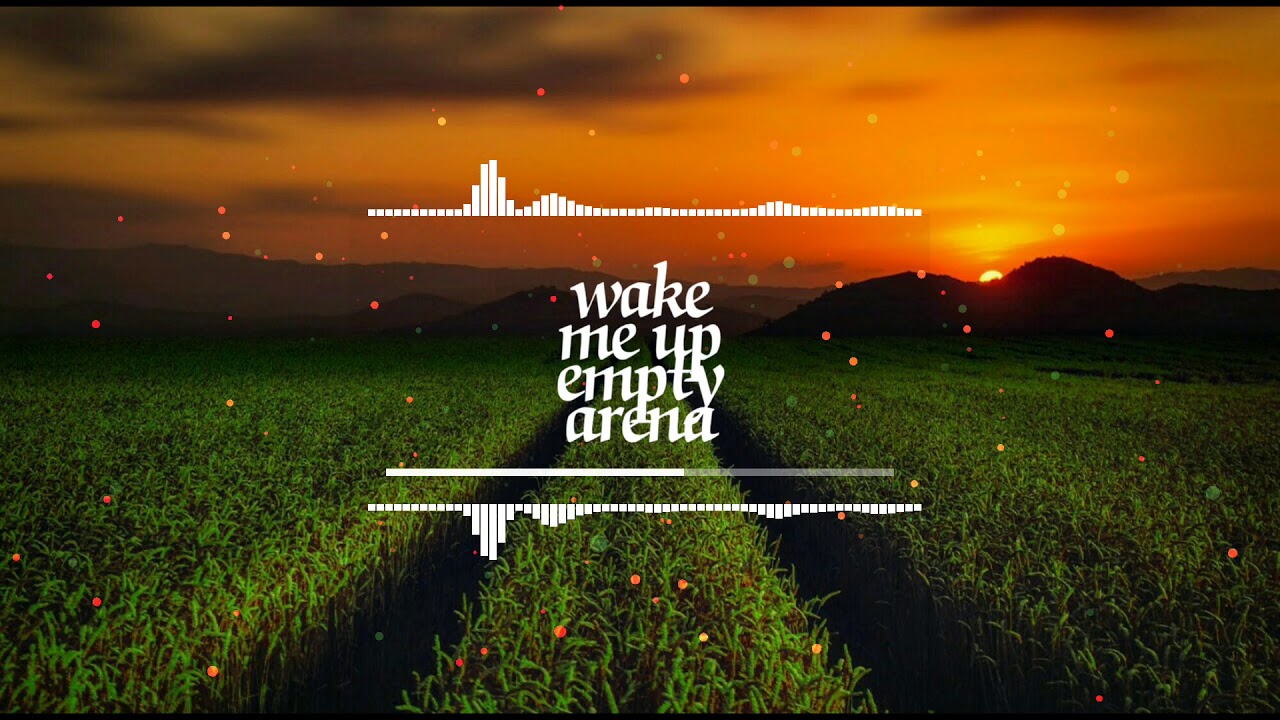 Avicii,Aloe blacc-wake me up empty arena