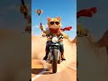 Wow. Cat ride