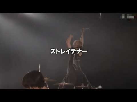ストレイテナー Melodic Storm ライブ 2008 3人 & 2013 4人