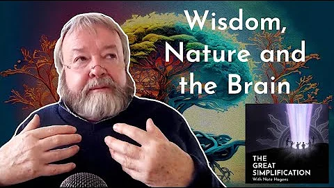 Iain McGilchrist: "Wisdom, Nature and the Brain" | The Great Simplification #85 - DayDayNews