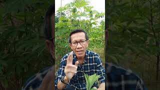 Contoh ide postingan teks yang ramai di Facebook profesional