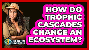 How Do Trophic Cascades Change An Ecosystem? - Ecosystem Essentials