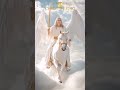 #christtheking #jesuschrist #yeshu #yesu #raja