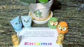 Books by Charles Stoll