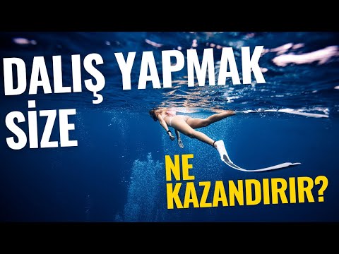 Video: Kıyıdan Sadece Adım Adım Bulunan En İyi Tüplü Dalışlar