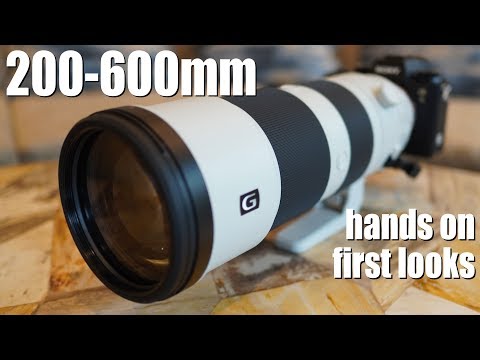 Sony FE 200-600mm review - HANDS-ON first looks