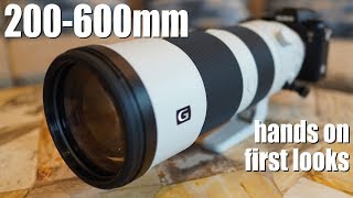 Sony FE 200-600mm review - HANDS-ON first looks