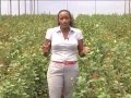 Horticulture Training Centre Opens in Kenya