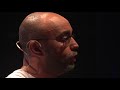 Tem palhaço na sala de aula | Varlei Xavier | TEDxCampinas