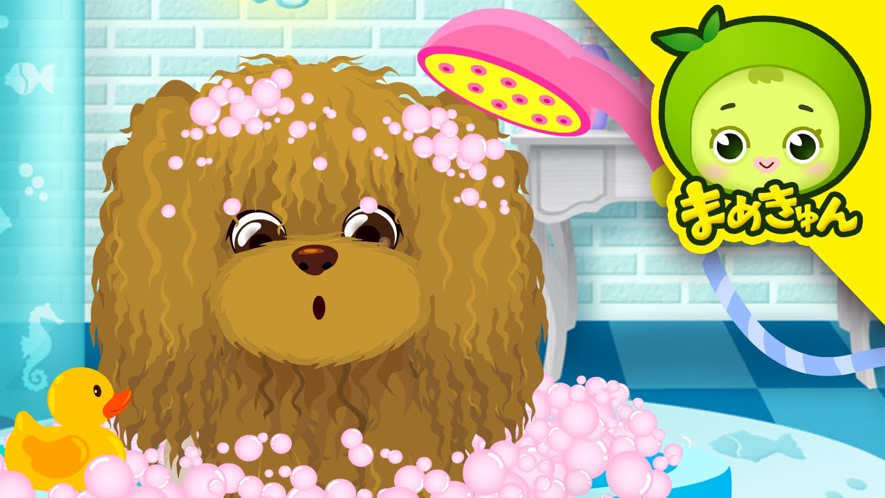 Save the Poodle | Mark's Animal Hospital | For Kids | Mamekyun