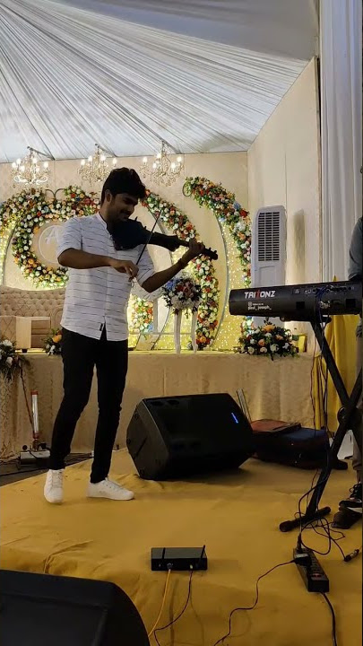 vellai pookal live violin cover ๐ป#arrahman #youtube #artist #tamil #tamilsong #violincover