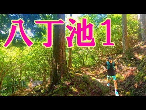 八丁池トレイルラン？水生地下駐車場から天城山隧道へ（水場あり）
