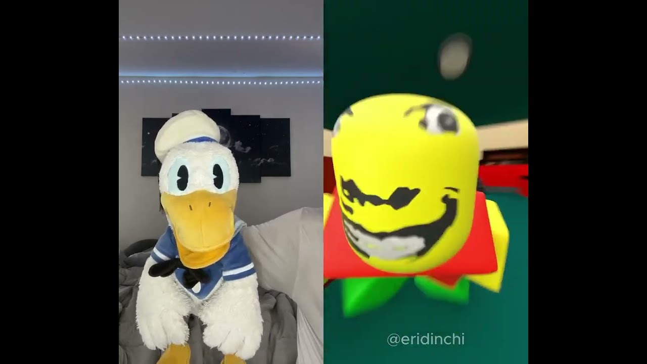 Donald Ducc Thinks Roblox Is Weird