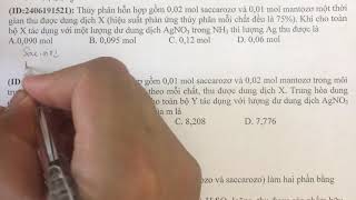 ID2406191521