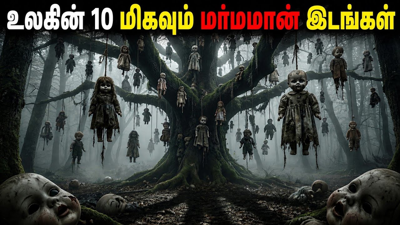 ⁣பூமியில் உள்ள 10 மிகவும் மர்மமான மற்றும் வியப்பூட்டும் இடங்கள் | Top 10 Most Mysterious Places