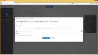 Constellio gestion documentaire : Gestion des versions via l'interface Web Net Worth