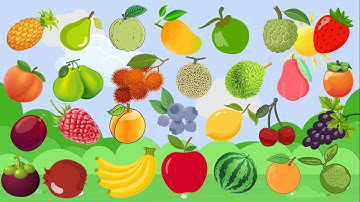 Từ Vựng Tiếng Anh Trái Cây, Hoa Quả- Fruits