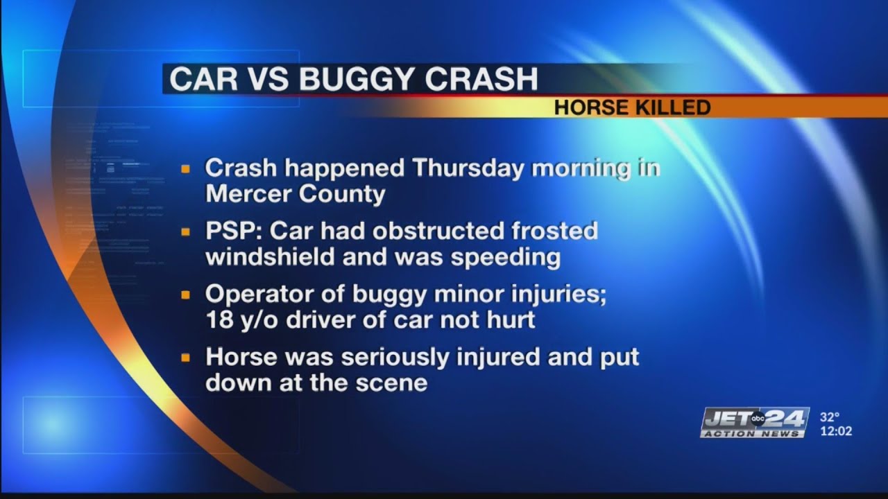 Horse put down after car collides with buggy in Mercer County - YouTube