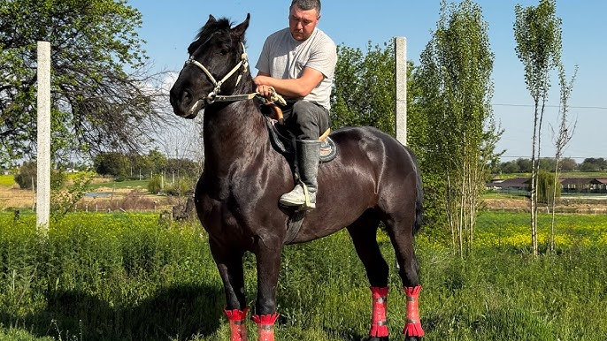 Gazetalar dokonlarida erotik jurnallar mavjud Sochli ona porno