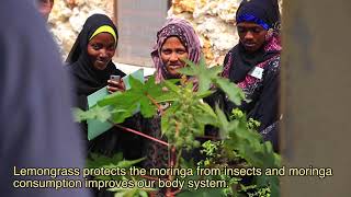 Fursa Kijani 1 Episode 1 - Introduction screenshot 3